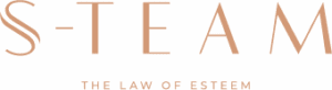 S-Team Logo